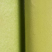 CORTA zelená, rozdílná struktura polepu v detailu
