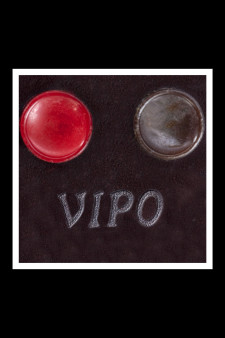 VIPO DS1
